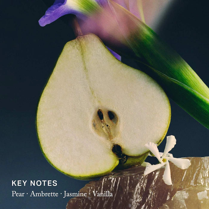 MERIT Retrospect™ L’Extrait de Parfum - 30ml