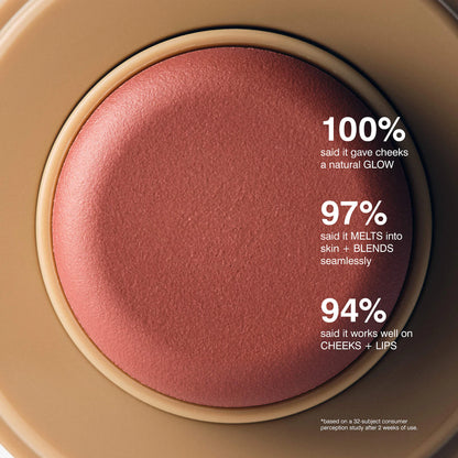 Rhode Pocket Blush